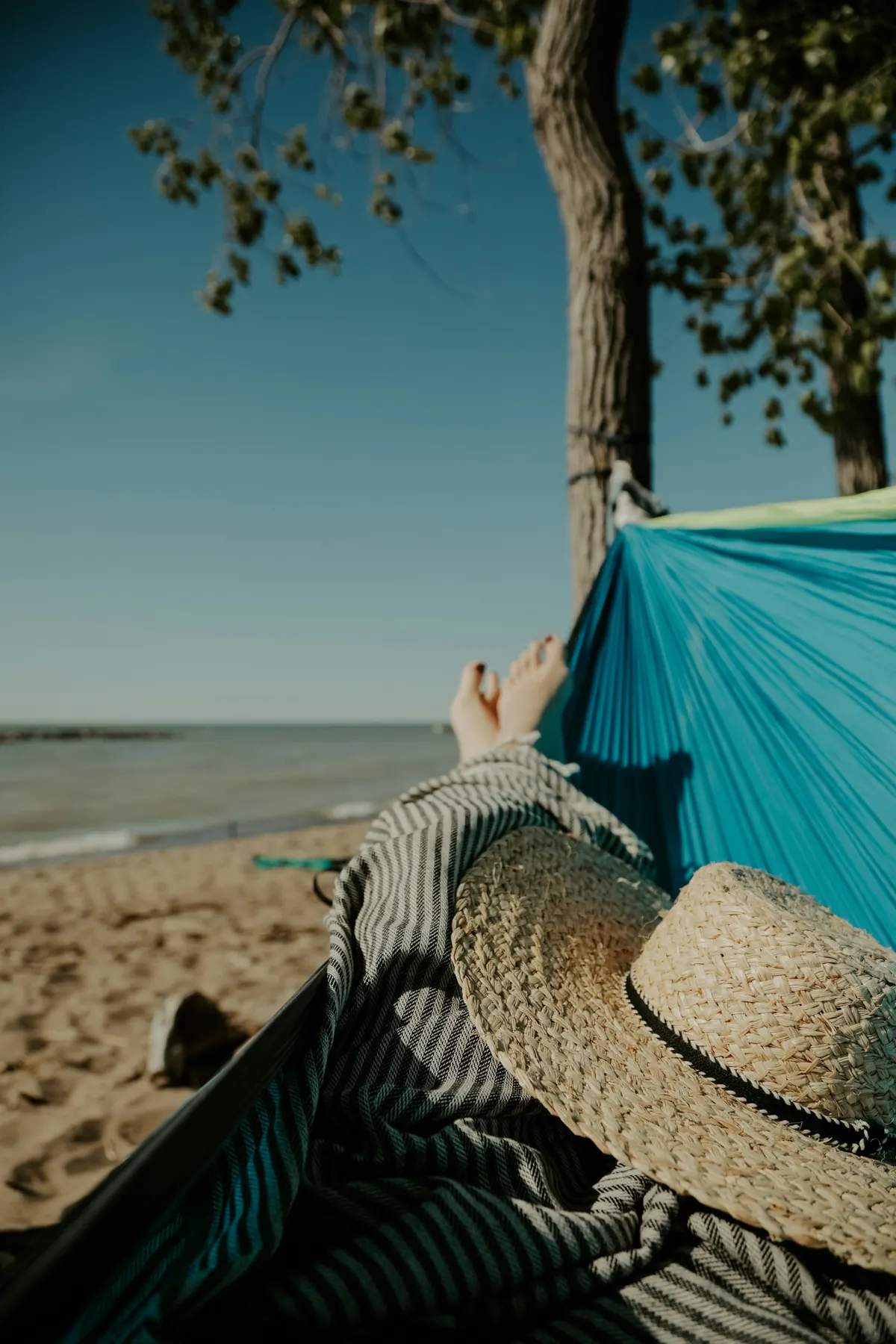 Hammock between palm trees